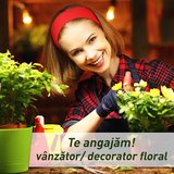 Vanzator in magazine de plante si flori - Pipera si Jolie Ville Baneasa